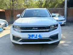 Zotye