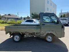 Suzuki Carry Track