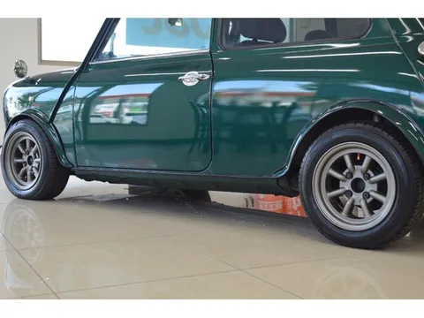 Rover Mini