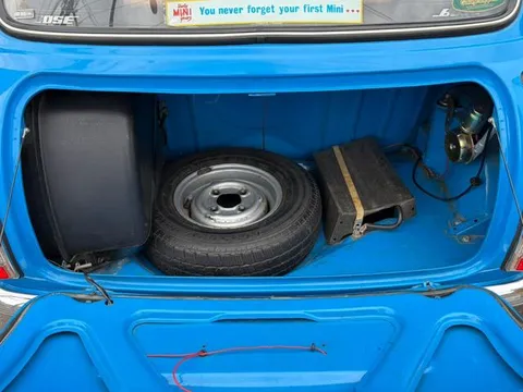 Rover Mini