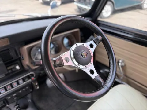 Rover Mini