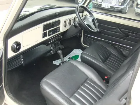 Rover Mini