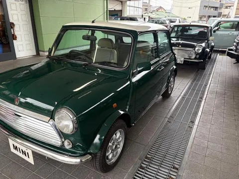 Rover Mini