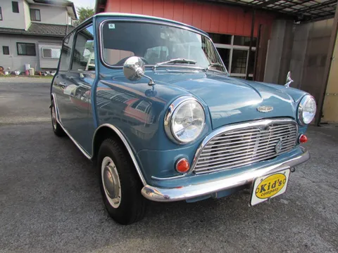 Rover Mini