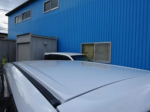 Subaru Pleo