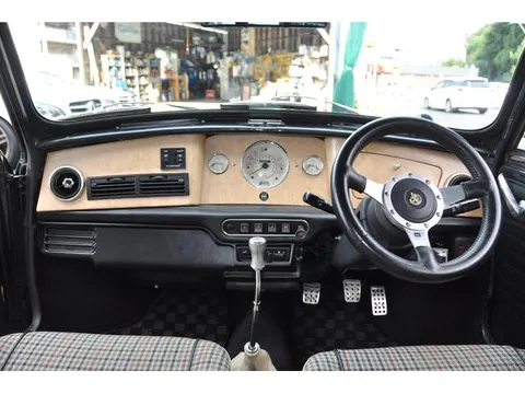 Rover Mini