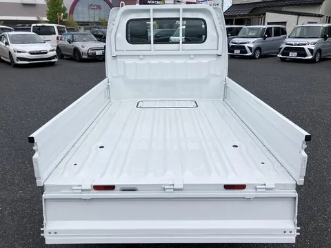 Nissan Clipper Truck