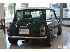 Rover Mini