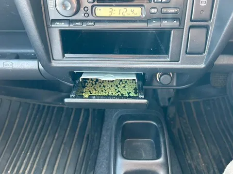 Suzuki Kei
