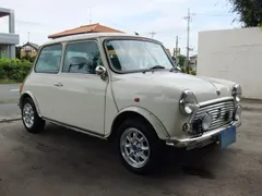 Rover Mini