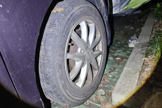 BYD M6