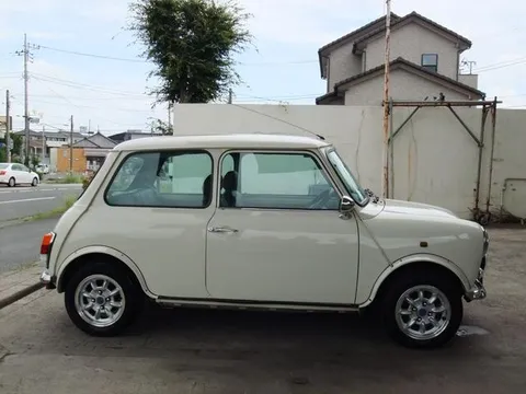 Rover Mini