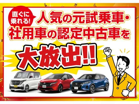 Nissan Clipper Rio
