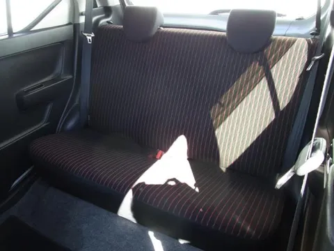 Suzuki Alto Turbo RS