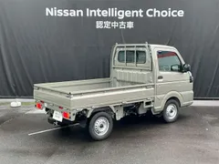 Nissan Clipper Truck