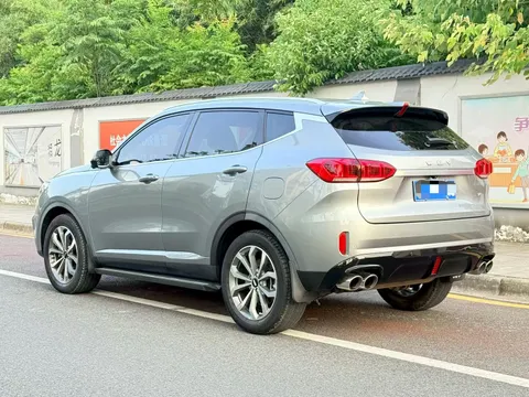 Wey VV6