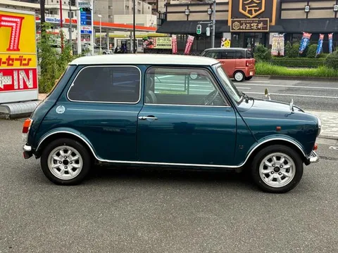 Rover Mini