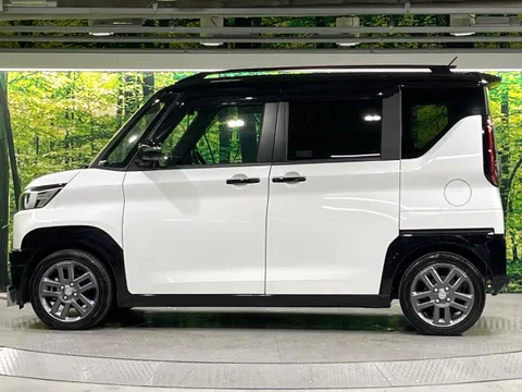 Mitsubishi Delica Mini
