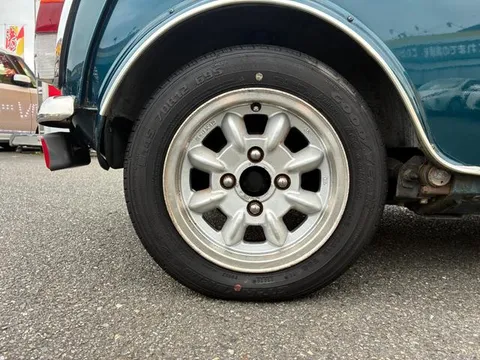 Rover Mini