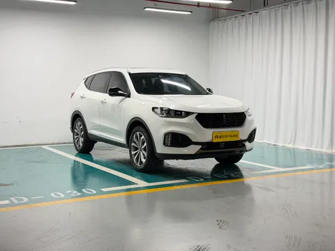 Wey VV6