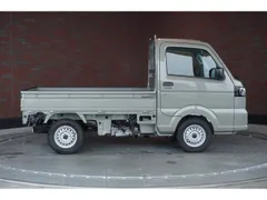 Suzuki Carry Track