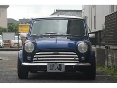 Rover Mini