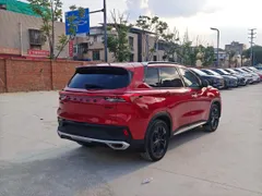 Maxus D60