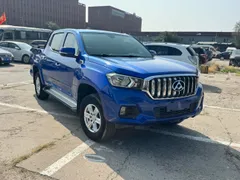 Maxus T60