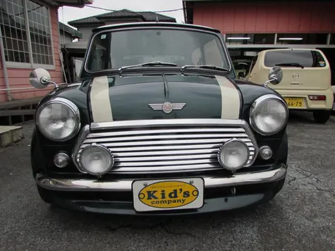 Rover Mini