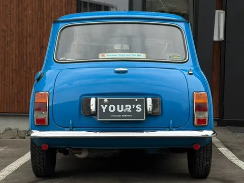 Rover Mini