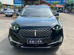 Wey VV6