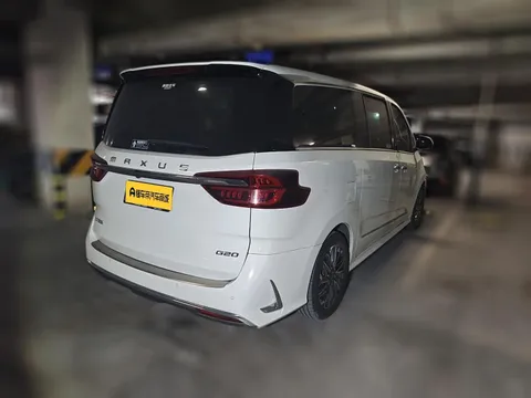 Maxus G20