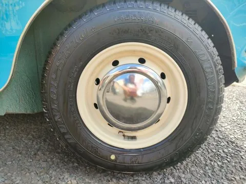 Rover Mini