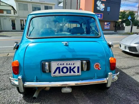 Rover Mini