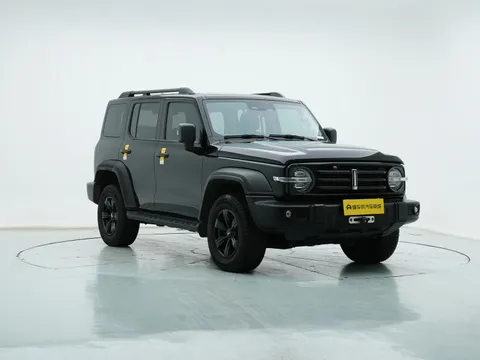 Tank 300