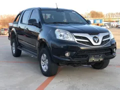 Foton