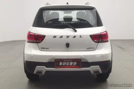 Haval H1
