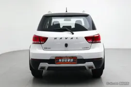 Haval H1