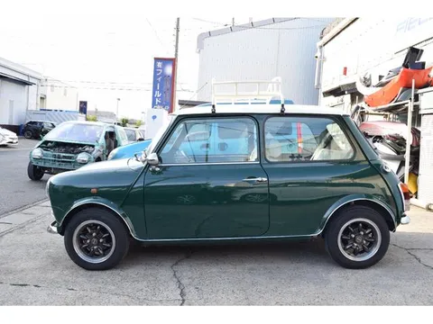 Rover Mini