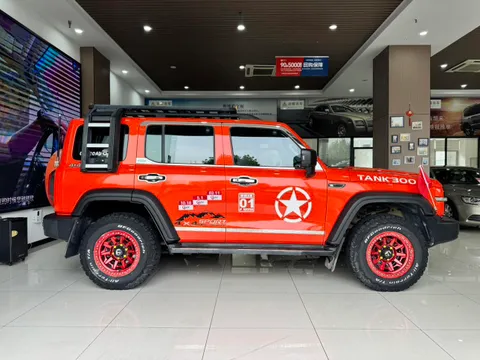 Tank 300