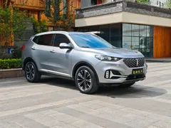 Wey VV6