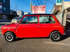 Rover Mini