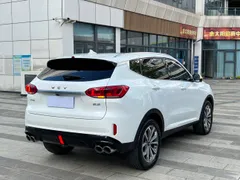 Wey VV6