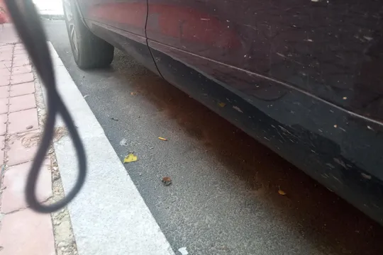 Wey VV5