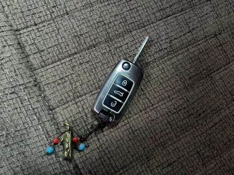 Volkswagen C-Trek