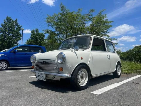 Rover Mini