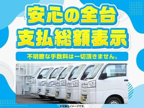 Mitsubishi Minicab Truck