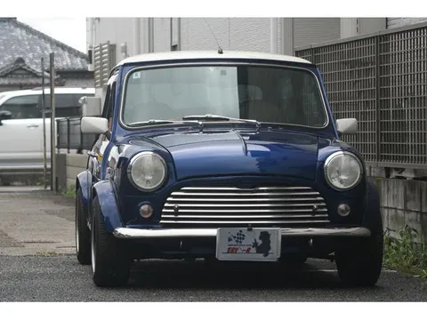 Rover Mini