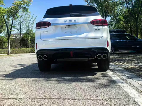 Wey VV6