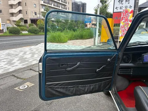 Rover Mini